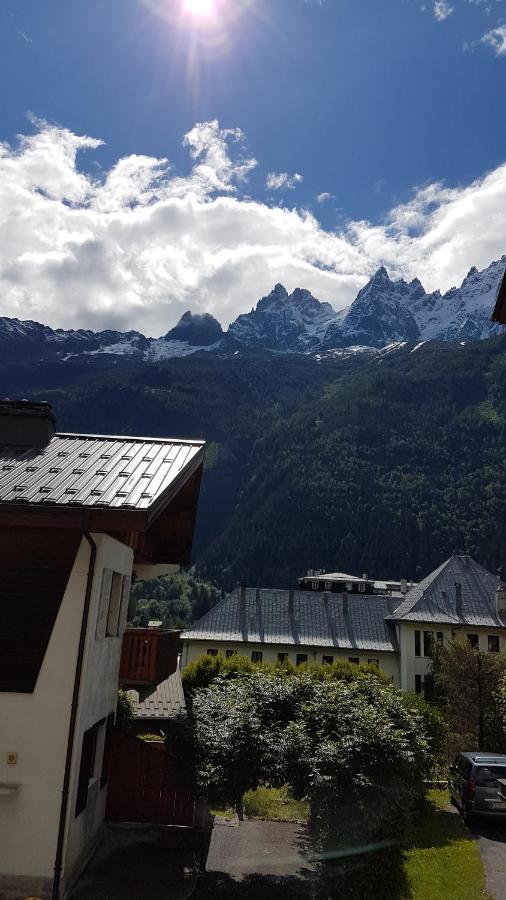 Appartement Typique,Chaleureux Et Pratique Chamonix Dış mekan fotoğraf